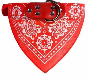 Dog bandana