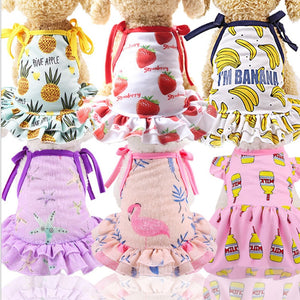 pet clothes