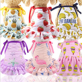 pet clothes