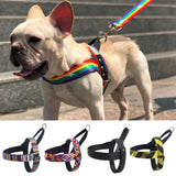 dog Harness