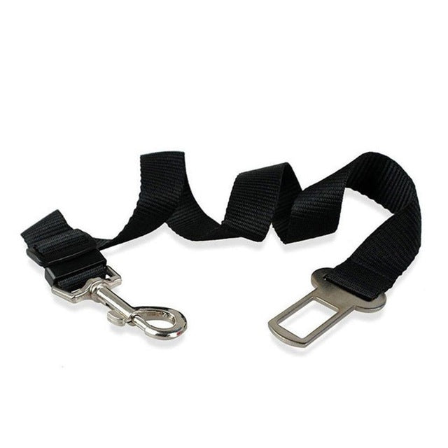 Harness Leash