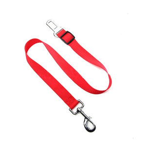 Harness Leash