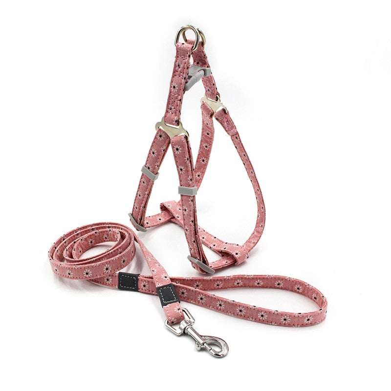 Dog Harness Set with 1.2m Leash