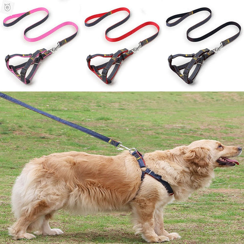 Dog Leash And Harness Set