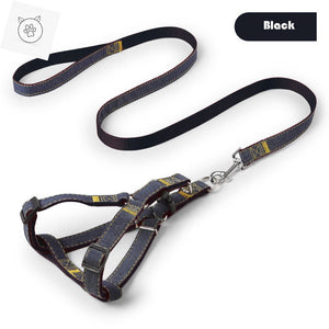 Dog Leash And Harness Set