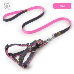 Dog Leash And Harness Set