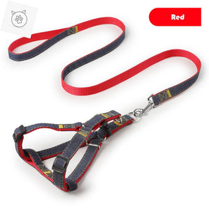 Dog Leash And Harness Set