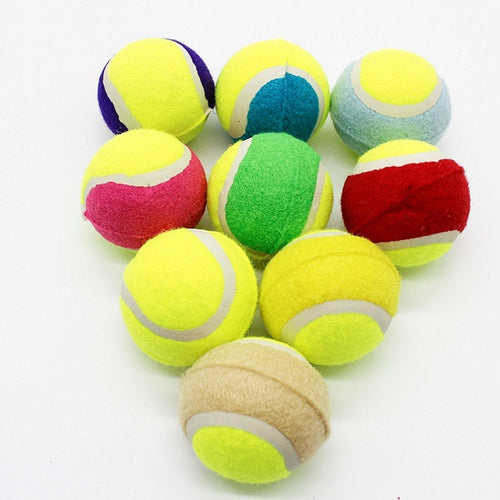 Pet Dog Tennis Ball