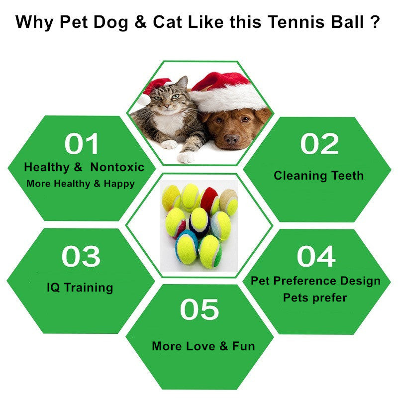 Pet Dog Tennis Ball