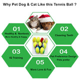 Pet Dog Tennis Ball
