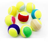 Pet Dog Tennis Ball
