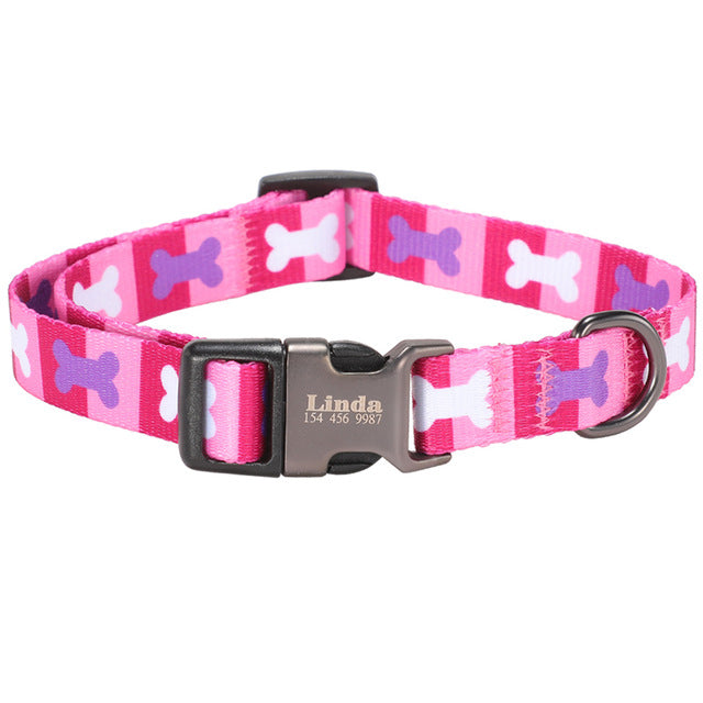 ID Dog Collar