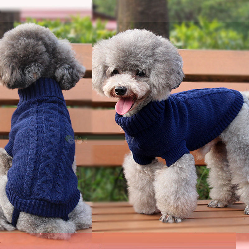 Winter Warm Puppy