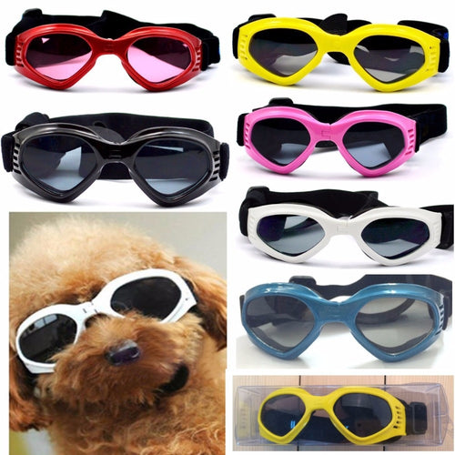 Sunglasses Eye Wear