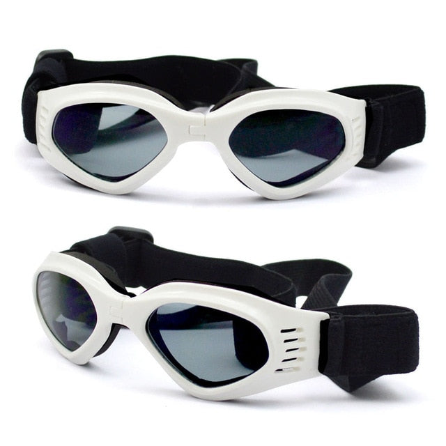 Sunglasses Eye Wear