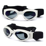 Sunglasses Eye Wear