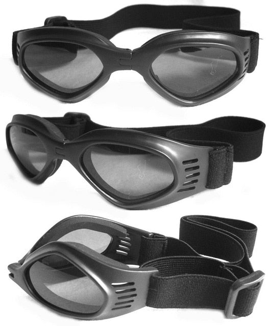 Sunglasses Eye Wear