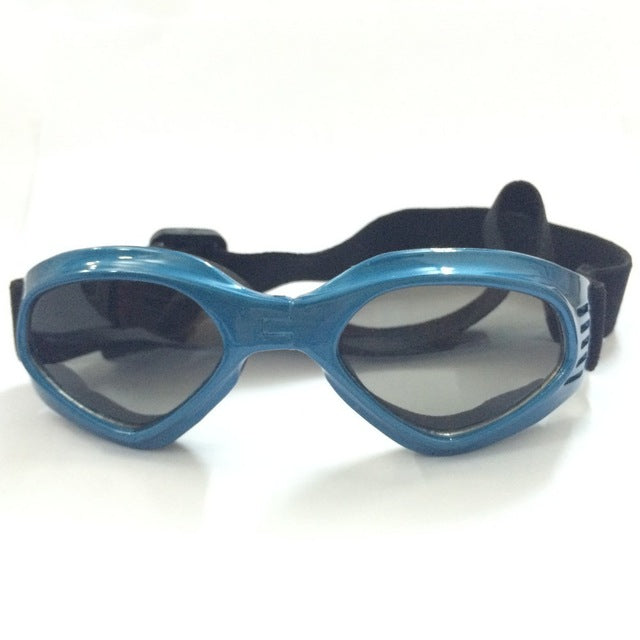 Sunglasses Eye Wear