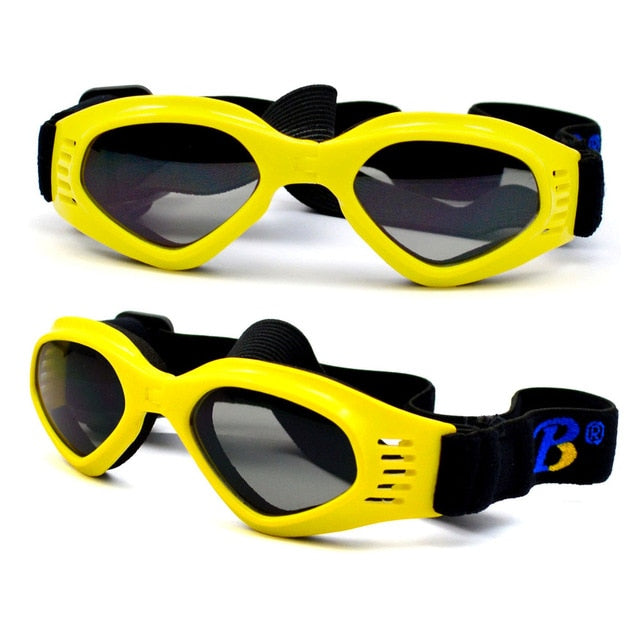Sunglasses Eye Wear