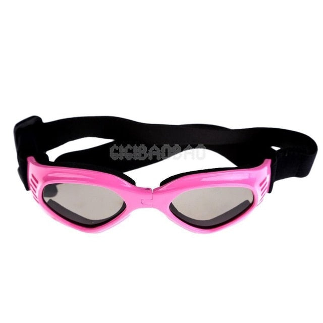 Sunglasses Eye Wear