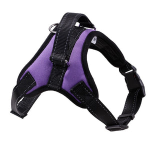 Dog Harness