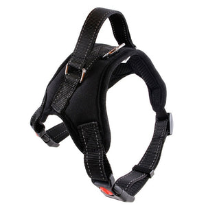 Dog Harness