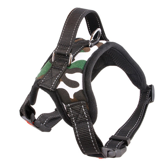 Dog Harness