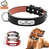 ID Collars