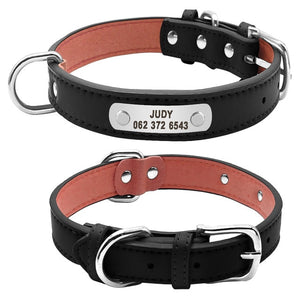 ID Collars