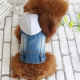 Small Dog Jean