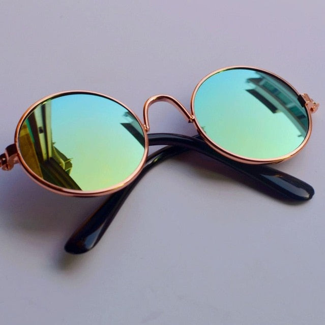 Pet Sunglasses