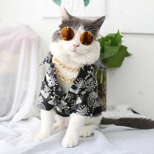 Pet Sunglasses