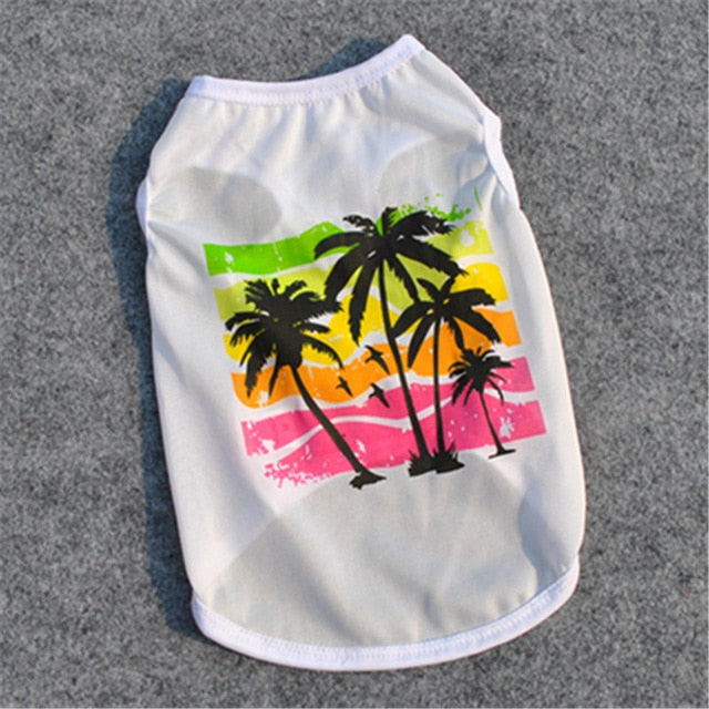 Summer beach clothes