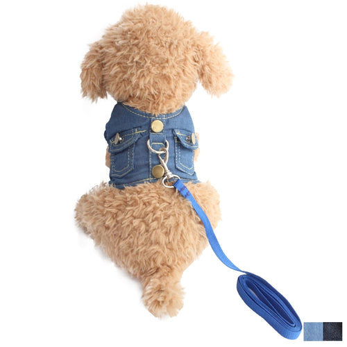 Dog Halter Harness Lead