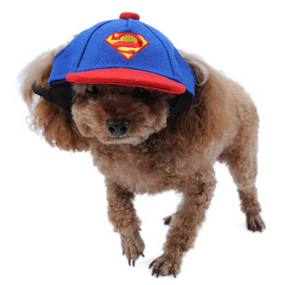 Summer Dog Hat Baseball Cap