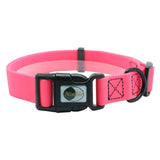 Dog collars