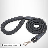 Leash Comfortable Leather