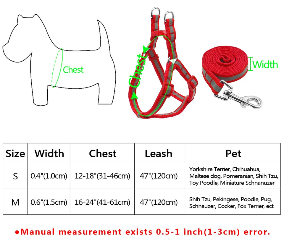 Harness and Leash