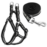 Harness and Leash