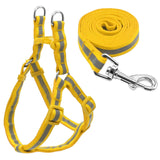 Harness and Leash