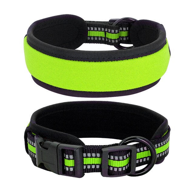 Dog Collar