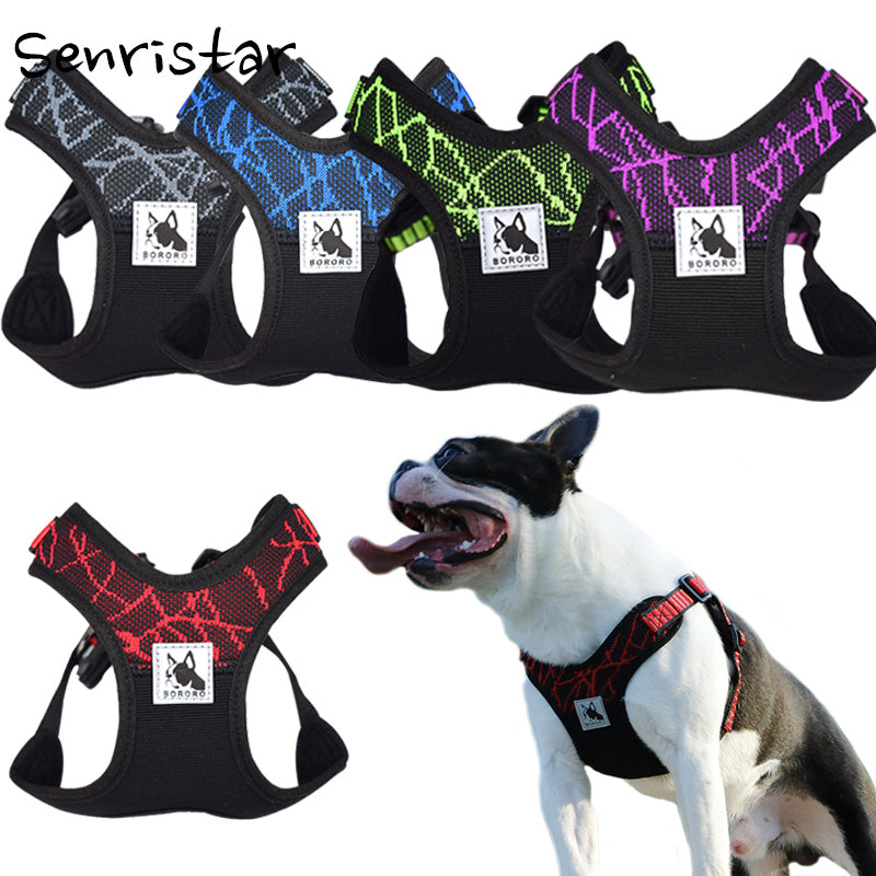 Sport Dog Harness