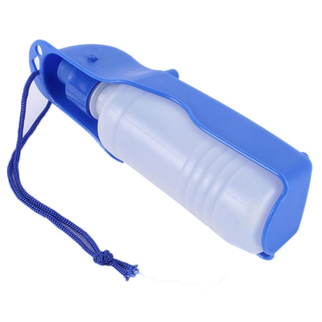 Water Bottle