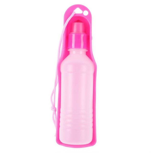 Water Bottle
