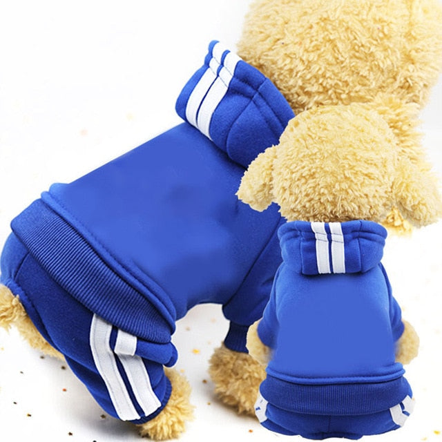 Spring Dog Clothes