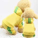 Spring Dog Clothes