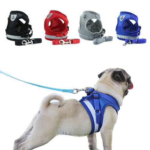 pet Harness