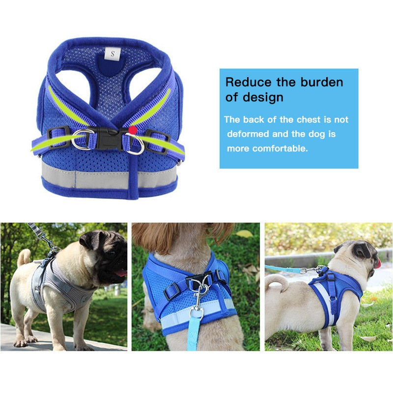 pet Harness