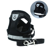 pet Harness
