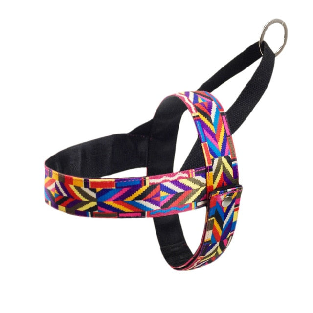 dog Harness